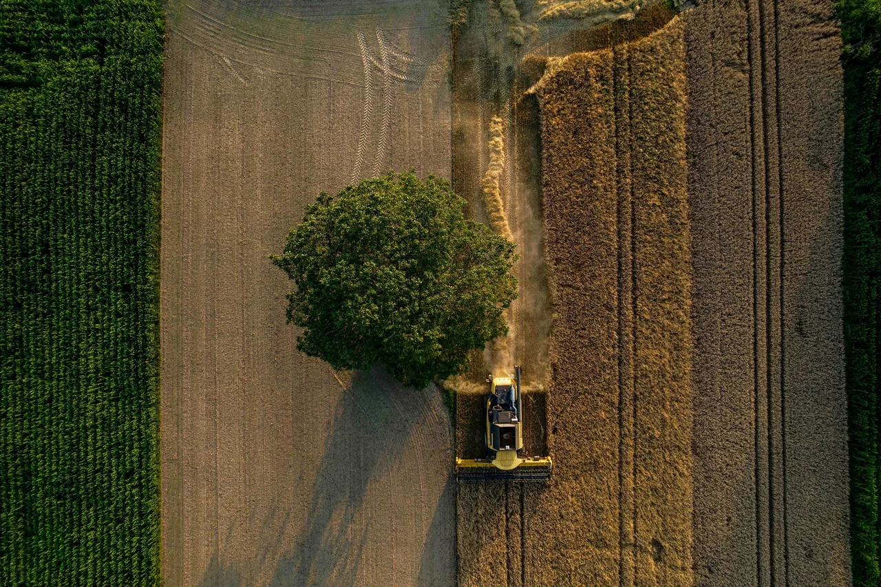 Agricultural landscape illustrating the service